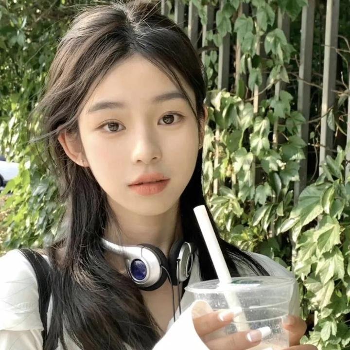 游击飞行中队